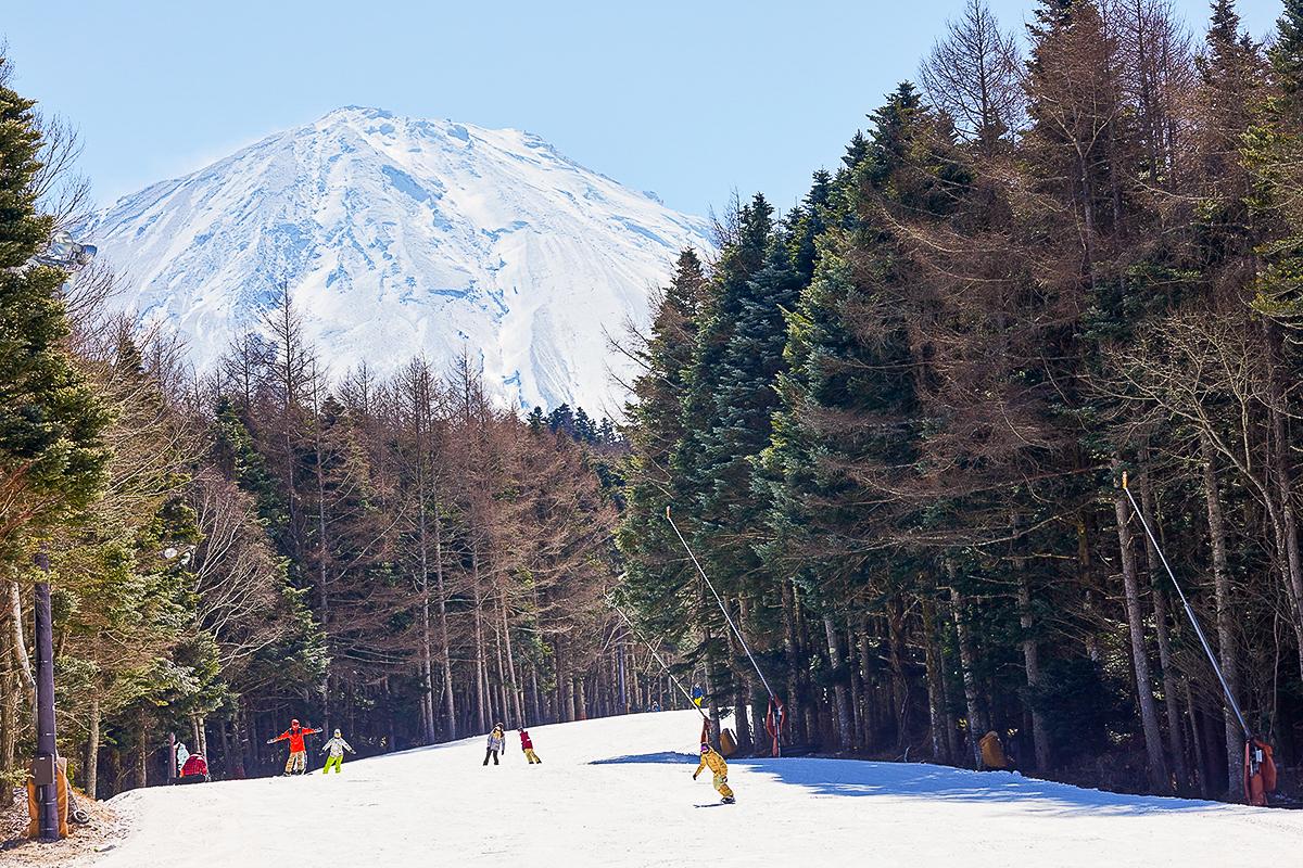 With Mt. Fuji View: Snow Fun at Fujiten & Oishi Park Sightseeing Tour from Tokyo - Photo 1 of 10