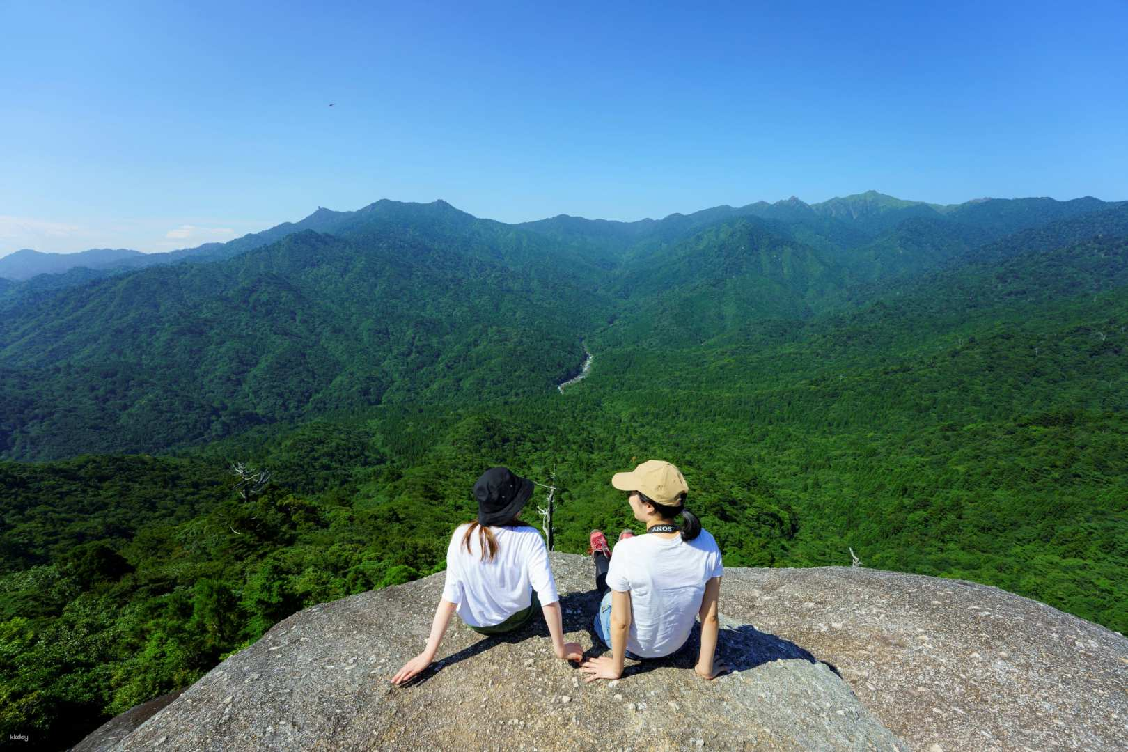 Day trip to Yakushima by high-speed Jetfoil Toppy from Kagoshima - Photo 1 of 8