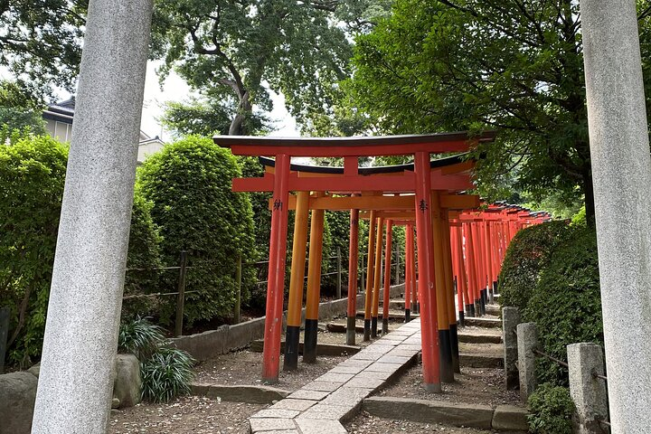 Discover the serene beauty of Nezu Shrine with its iconic torii gates inviting travelers to stroll through history and immerse themselves in the essence of traditional Japanese culture.