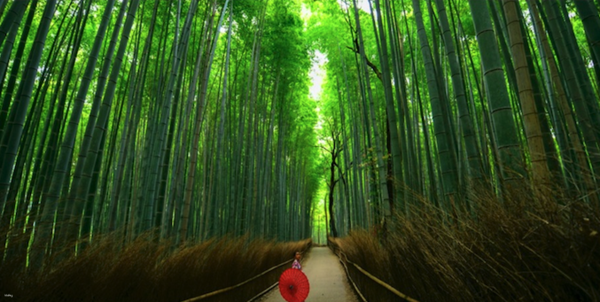 Discover the serene beauty of Kyoto's bamboo groves perfect for a peaceful stroll. Experience the tranquility while visiting iconic sites making unforgettable memories along the way.