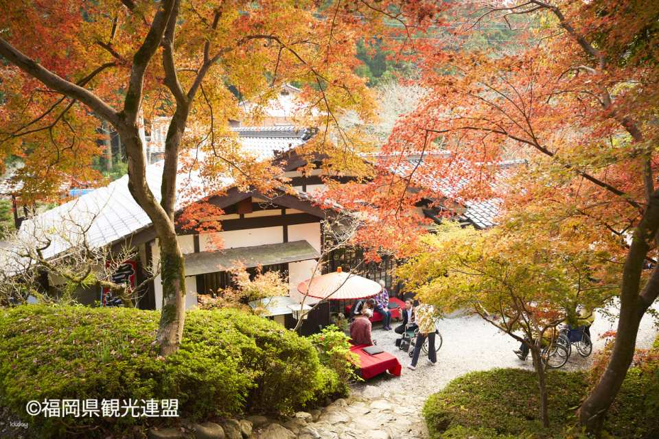 YokaBus Kirin Beer Fukuoka, Akizuki Castle Ruins, and Hikosan Slopecar - Photo 1 of 16