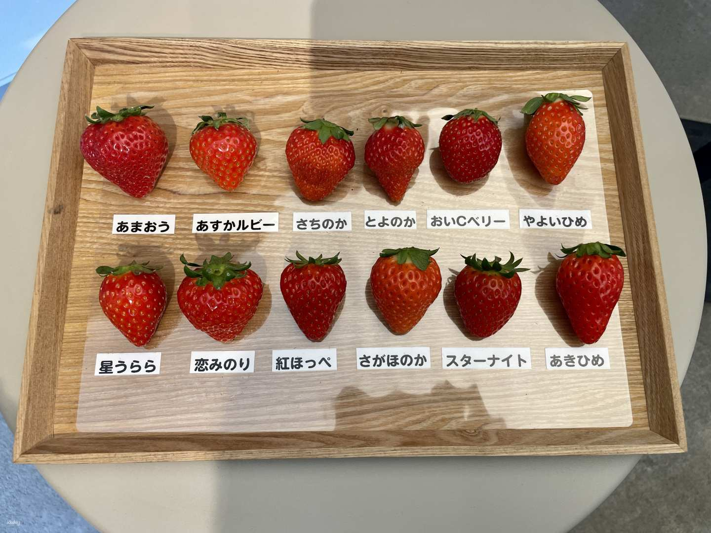 YokaBus Fukuoka Strawberry Picking and Sakura Dyeing Experience - Photo 1 of 16