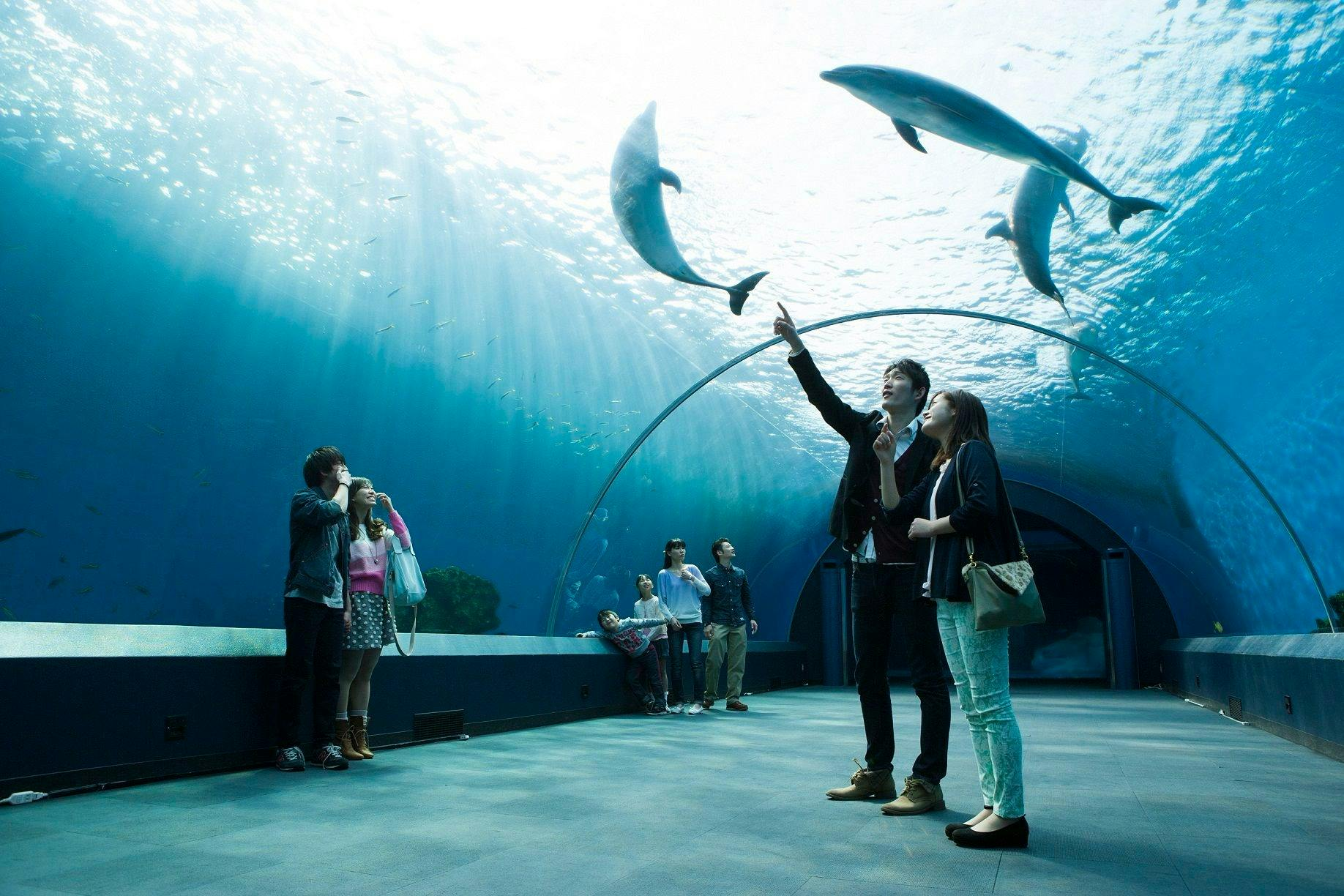 Yokohama Hakkeijima Sea Paradise: 1-Day Pass - Photo 1 of 4