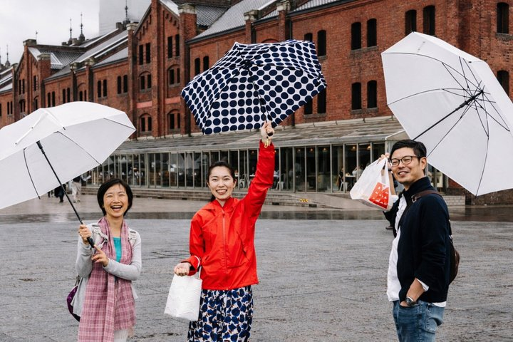 Yokohama Private Tour with a Local: Highlights & Hidden Gems - Photo 1 of 9