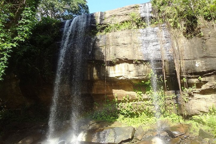 1.5-Day Shimba Hills Safari: Tropical Rainforest & Waterfall  - Photo 1 of 7
