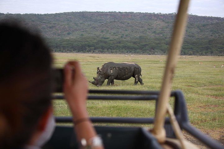 Rhino at Lake Nakuru National Park