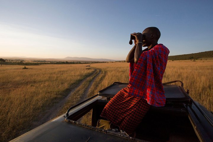 Game Viewing Drive at the Masai Mara