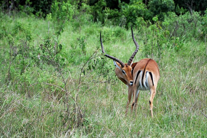 1 Day Mount Longonot Trek - Photo 1 of 4