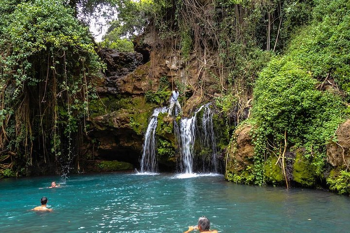 1 Day Ngare Ndare Forest From Nairobi by Jeep (minimum 2 Pax) - Photo 1 of 7