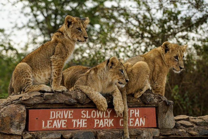 Nairobi National Park