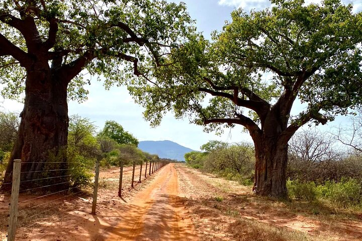 Tsavo East National Park