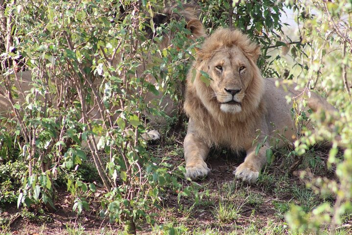 10 Days Private Safari - Photo 1 of 4