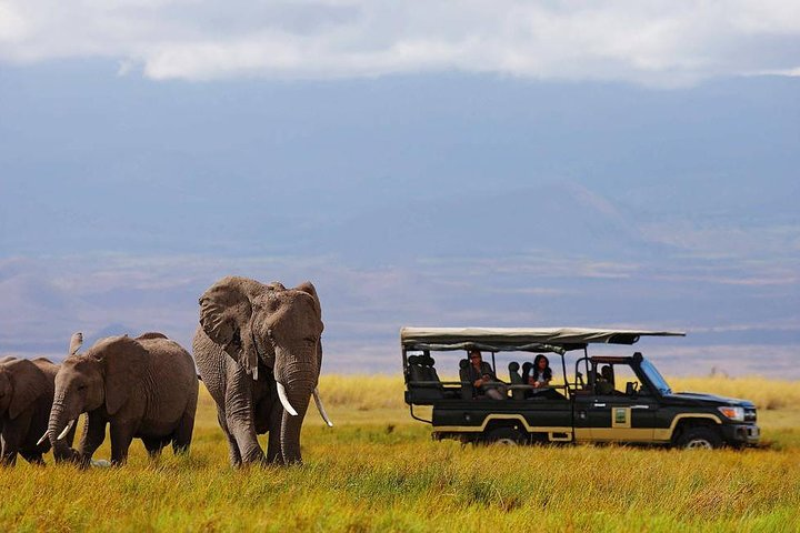 11 Days Elewana Luxury Safari Packages - Photo 1 of 7