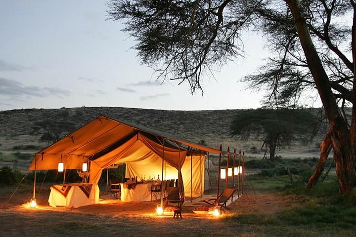  11 Days Guided Africa Wildlife Photography Tours - Photo 1 of 7