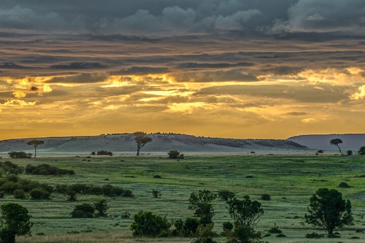 13-Days Kenya and Tanzani Safari 4x4 jeep safari  - Photo 1 of 4