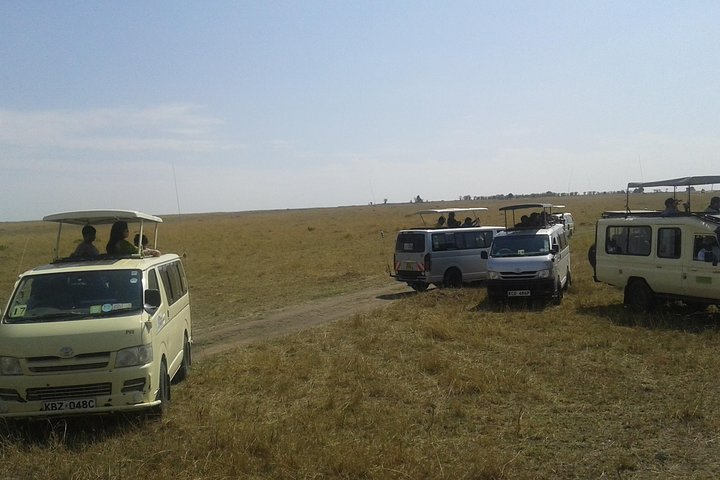 vehicles on a game drive