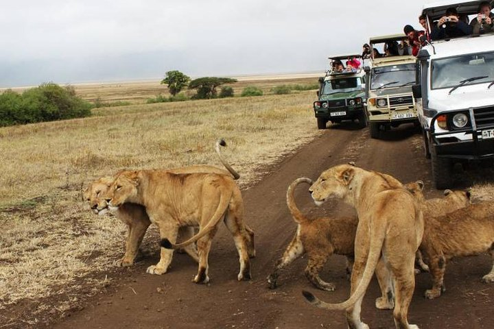 16 Day Great Adventure Kenya - Tanzania Clasic Safari (MINIMUM 2 PAX) - Photo 1 of 6