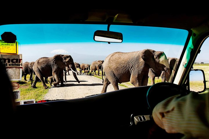 2-Day Amboseli National Park Safari- Daily Departures - Photo 1 of 7