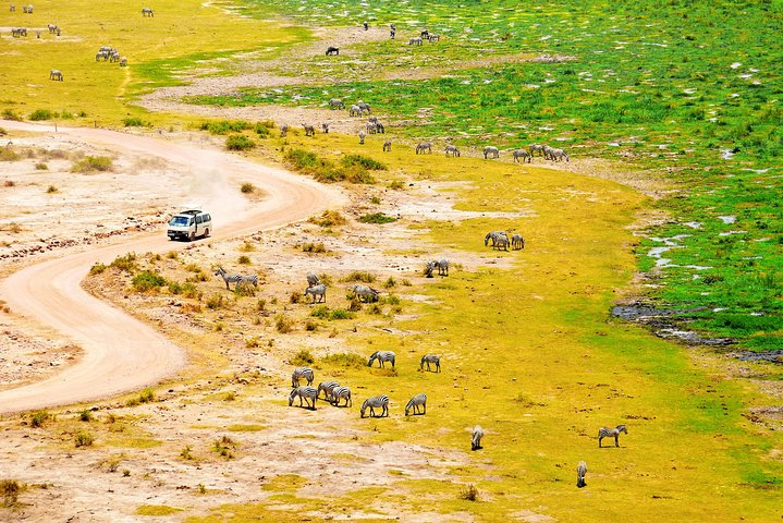 2 Days Amboseli Getaway Trip - Photo 1 of 24