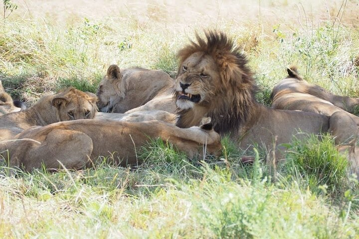 2-Days Guided Tour in Tsavo East - Photo 1 of 14