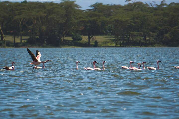 3-Days Private Safari in Naivasha - Photo 1 of 6