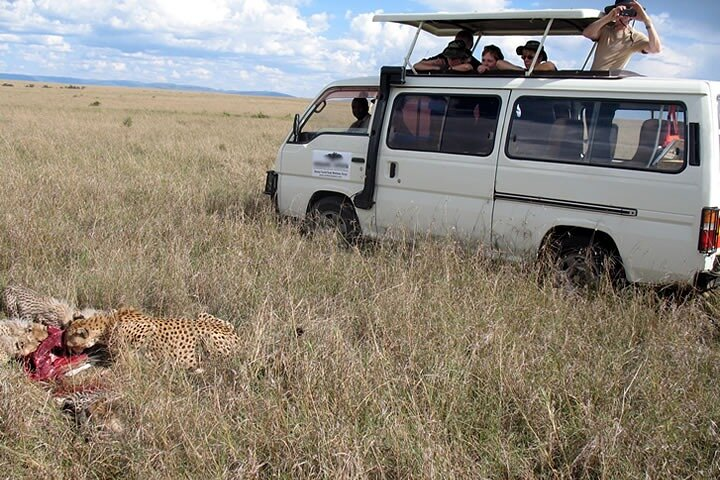 Safari in Tsavo East from Diani Beach