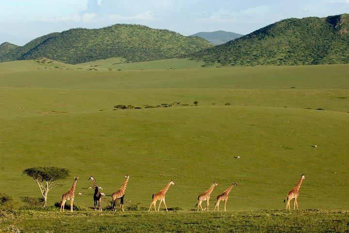 3-Day Maasai Mara Safari Package from Mombasa
