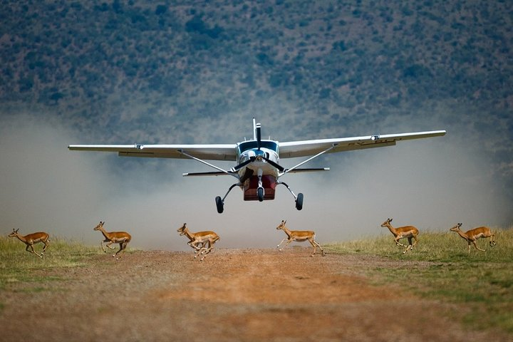 3-Day Masai Mara Private Flying Safari with 4x4 Game Drives - Photo 1 of 6