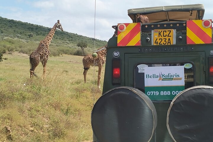 3-Day Masai Mara Festive Season Safari Christmas&New Year Safari - Photo 1 of 25