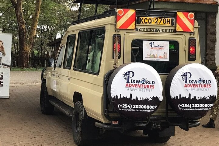 Pixworld Adventures Safari