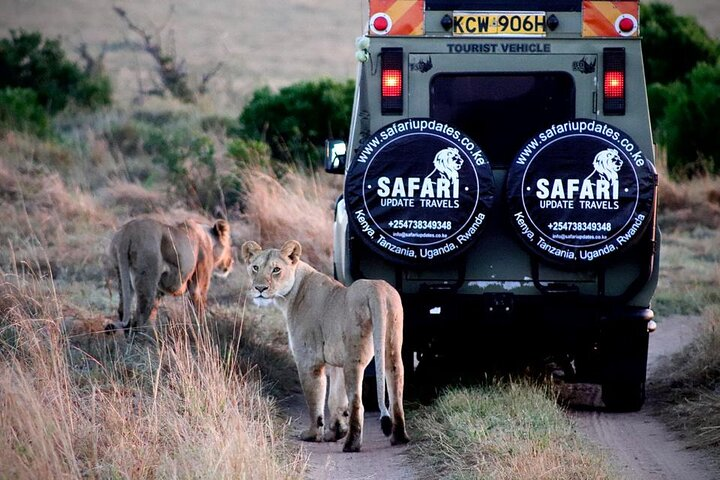 Game Drives at Masai mara National Reserve.
