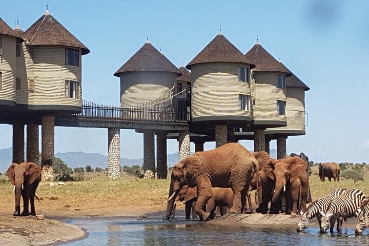 3 Days 2 Nights Safari to Saltlick Lodge from Nairobi - Photo 1 of 8