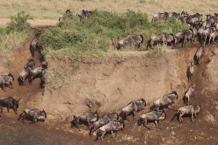 3 Days Best Of Kenya  - Photo 1 of 22