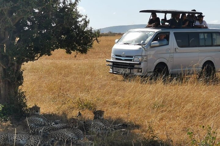 Safari van in Maasai Mara