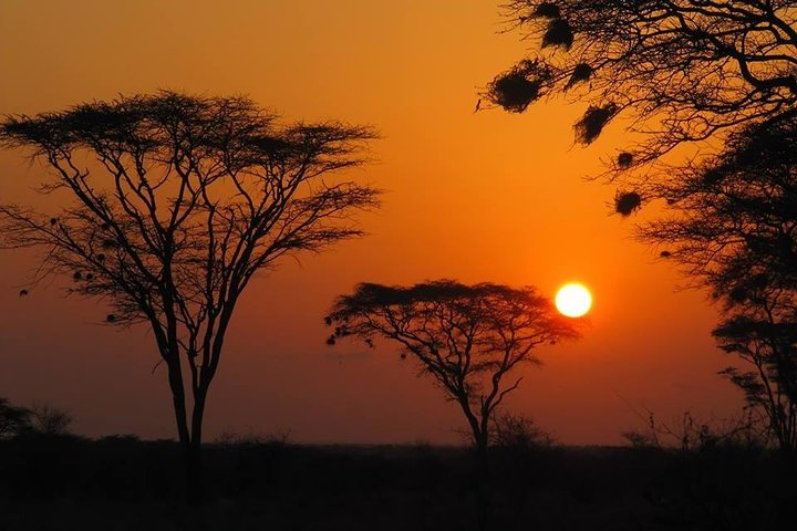 3 days Meru National Park Safari - Photo 1 of 8