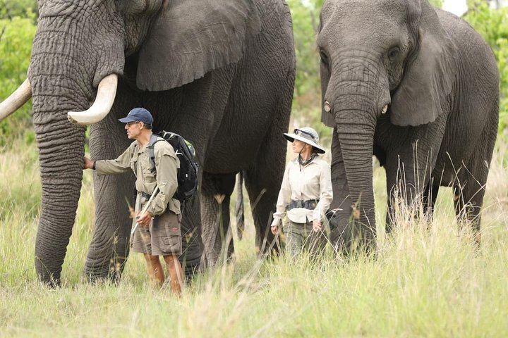 3 Days Samburu Big Five - Photo 1 of 6