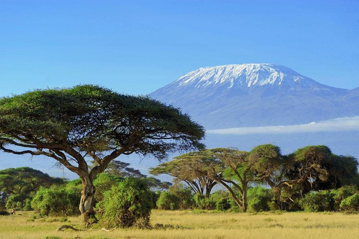 3 Days Tsavo West (Ziwani) & Amboseli (Kilimanjaro) Adventure - Photo 1 of 6