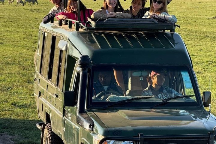 3days masai mara best of lodge safari - Photo 1 of 25