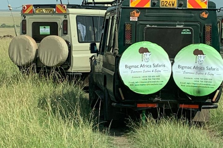 3days Masai Mara private safari with a 4x4 land cruiser Jeep - Photo 1 of 7