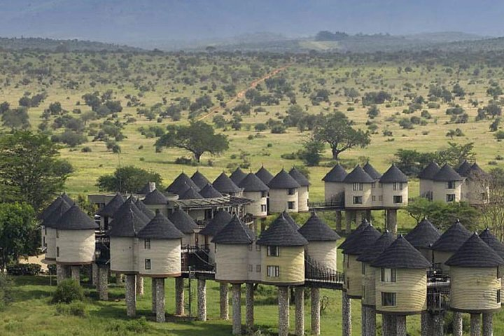 4-DAY Exciting Tsavo/Amboseli National Park/Mt. Kilimanjaro Safari - Photo 1 of 21