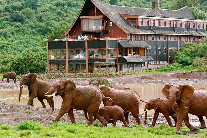 4 Days Aberdares National park & Samburu National Reserve Wildlife Safari - Photo 1 of 13