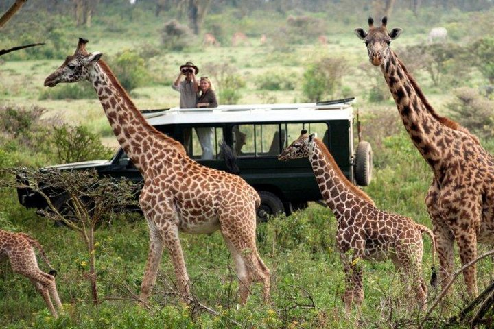 4-Days Best of Masai Mara Wildlife Lodge Safari - Photo 1 of 10