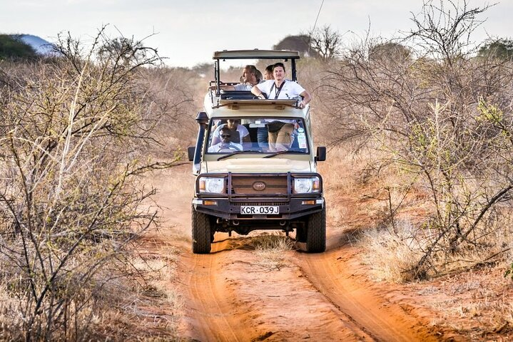 4 Days Private Safari Tour Tsavo and Amboseli from Nairobi - Photo 1 of 20
