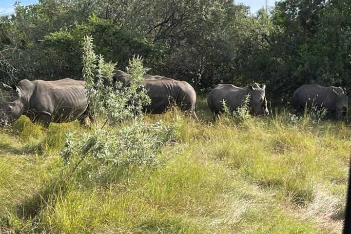 3-Day Masai Mara Air Safari. - Photo 1 of 13