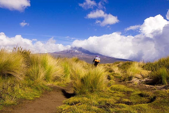 4 Days Trekking in Mount Kenya - Photo 1 of 7
