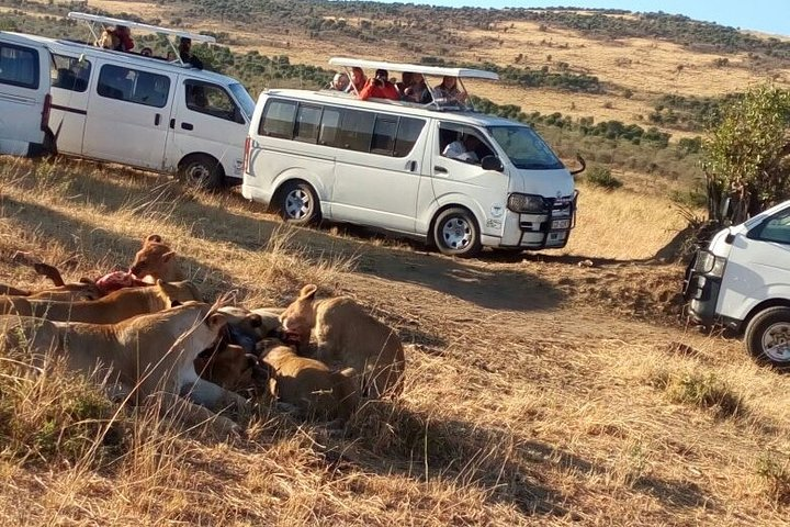 4days Masai Mara and Lake Nakuru Group Joining Budget Safari - Photo 1 of 7