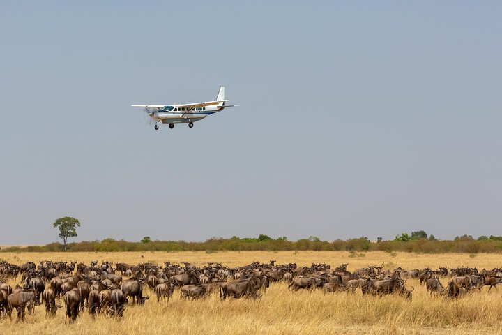 Flight over the Masai mara