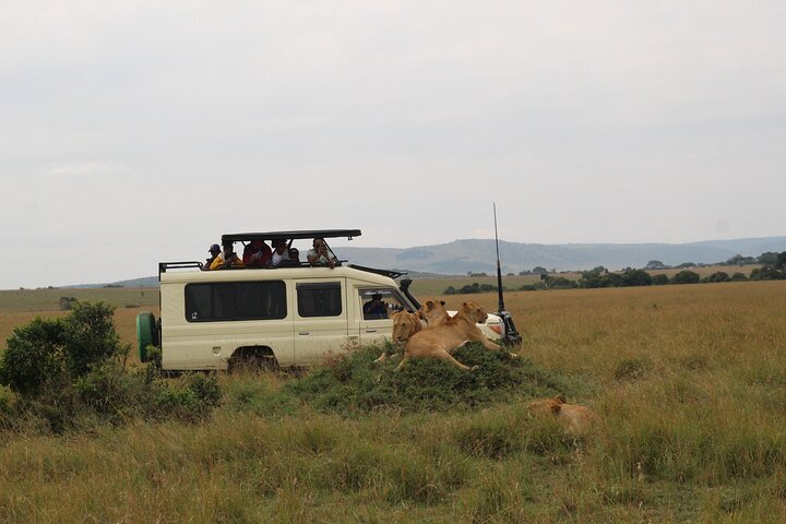 5-Day Private Tour in Kenya's Best Game Parks - Photo 1 of 7
