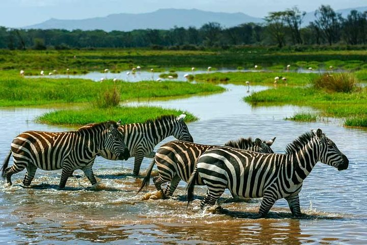 5 Days Kenya Safari - Photo 1 of 6