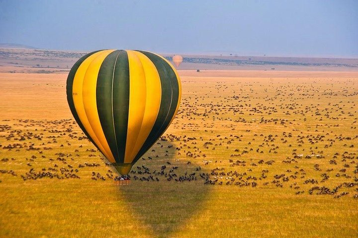 5 Days Mara, Nakuru, Sweetwaters - Photo 1 of 6